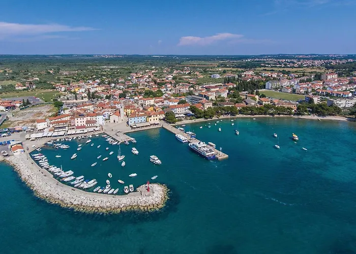 Pet Friendly In With Kitchen 펜션 페로이